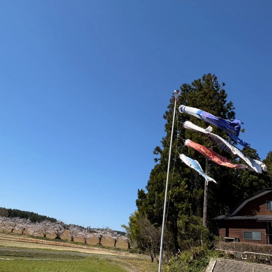 春のゆらぎと自律神経｜だるさ・不眠・肩こりの原因と対策【上越...