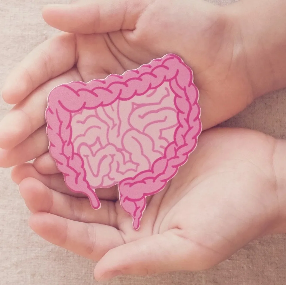 腸内環境と姿勢の意外な関係｜上越市で根本改善を目指す方へ