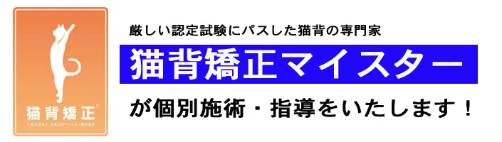 湿気で髪が広がるのは姿勢が原因かも？